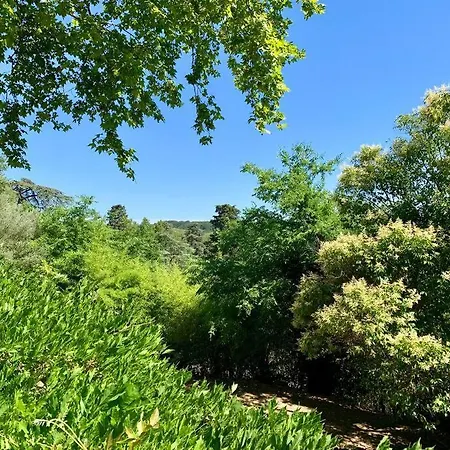 L'annexe Du Domaine De Brisset * Montélimar
